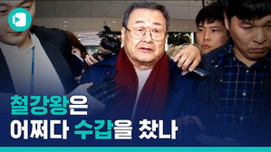 '철강왕' 꿈꾸던 회장님의 추락&hellip;성범죄 의혹 2년 만에 긴급체포된 김준기 회장