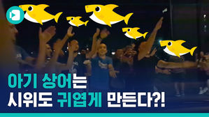 레바논 시위 현장에 울려 퍼진 '아기상어 뚜루루뚜루'&hellip;그 이유는?