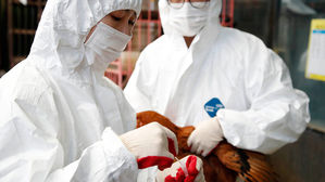 경북 김천서 AI 바이러스 검출&hellip;고병원성 여부 확인 중