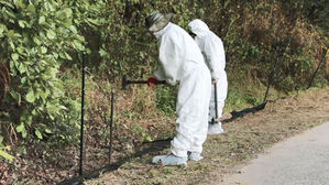 파주&sim;고성 '멧돼지 울타리' 만든다&hellip;총기 포획도 허용