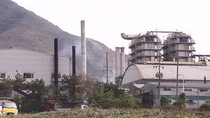 살처분 돼지 해체한다는 공장, 방역은 허술 그 자체