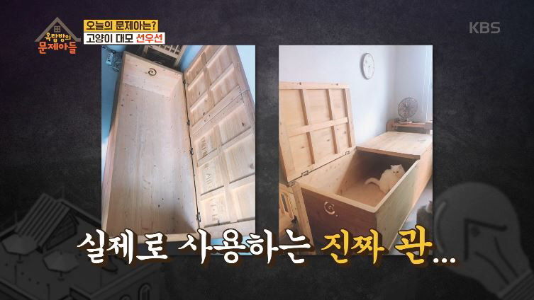 집에 관 놓고 생활한다는 '4차원' 선우선의 독특한 취미(?)
