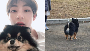 [SBS Star] ARMY Spotted V's Dog 'Yeontan' Attending BTS' Final Concert