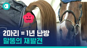 말똥으로 전기에너지를 만든다고?&hellip;핀란드 승마장의 비밀