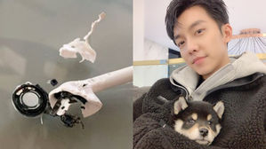 [SBS Star] Perro Breaks One of Lee Seung Gi's AirPods; His Response Is?