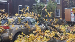 캐나다 퀘벡에 시속 100㎞ 강풍&hellip;100만 가구 정전