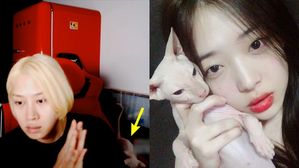 [SBS Star] Fans Speculate that Super Junior HeeChul Decided to Take Care of Sulli's Cat