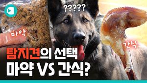 탐지견에게 간식이란? (feat. 탐지견 소풍날)
