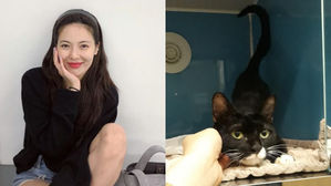 [SBS Star] HyunA Helps a Stray Cat with Severe Car Accident Injuries