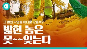 낙엽의 인생(feat. 비머가 낙엽 따라 가봄)