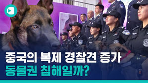 점차 늘고 있는 '복제 경찰견'&hellip;여러분은 어떻게 생각하십니까?
