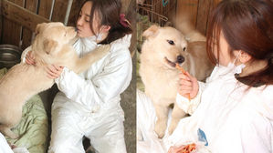 [SBS Star] Animal Rights Organization Shares How Koo Ha Ra Helped Abandoned Dogs