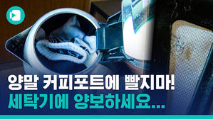 "호텔 전기포트로 속옷을 빤다고?"&hellip;위생도 엉망 시민의식도 엉망