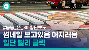 '하늘에 떠있는 횡단보도가 있다?'&hellip;교통사고 줄이는 '3D 횡단보도'