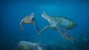 [인-잇] 바다거북 다음은 나…"빨대는 괜찮아요!"