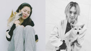 [SBS Star] VIDEO: HyunA Tears Up After Adopting a Rescue Dog with DAWN