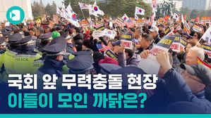 이들은 왜 국회 진입을 시도했을까요?