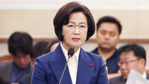 '靑-송철호 연결' 前 추미애 당 대표 비서실 부실장 검찰 조사