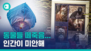 인간의 '새해 소망' 때문에 왜 동물들이 목숨을 잃어야 할까?