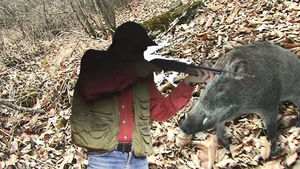 '멧돼지 포획' 요청한 정부, 엽사 목숨 잃자 '나 몰라라'