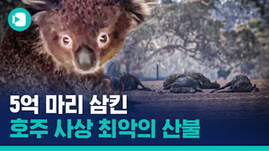 사상 최악 호주 산불에 죽은 야생 동물이 무려 '5억 마리'