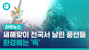 새해맞이 전국서 날린 풍선들, 환경에는 '독'