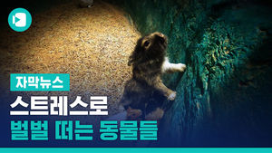 스트레스로 벌벌 떠는 동물들&hellip;걱정되는 실내 동물원