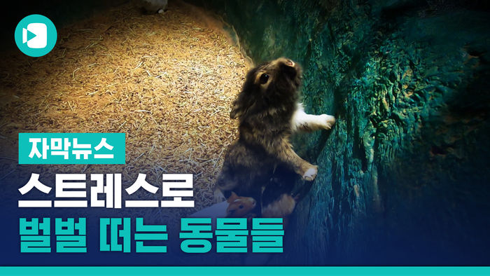 스트레스로 벌벌 떠는 동물들&hellip;걱정되는 실내 동물원