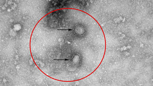 "코로나19 예상보다 전염성 강해&hellip;1명이 3.77명에 전파"