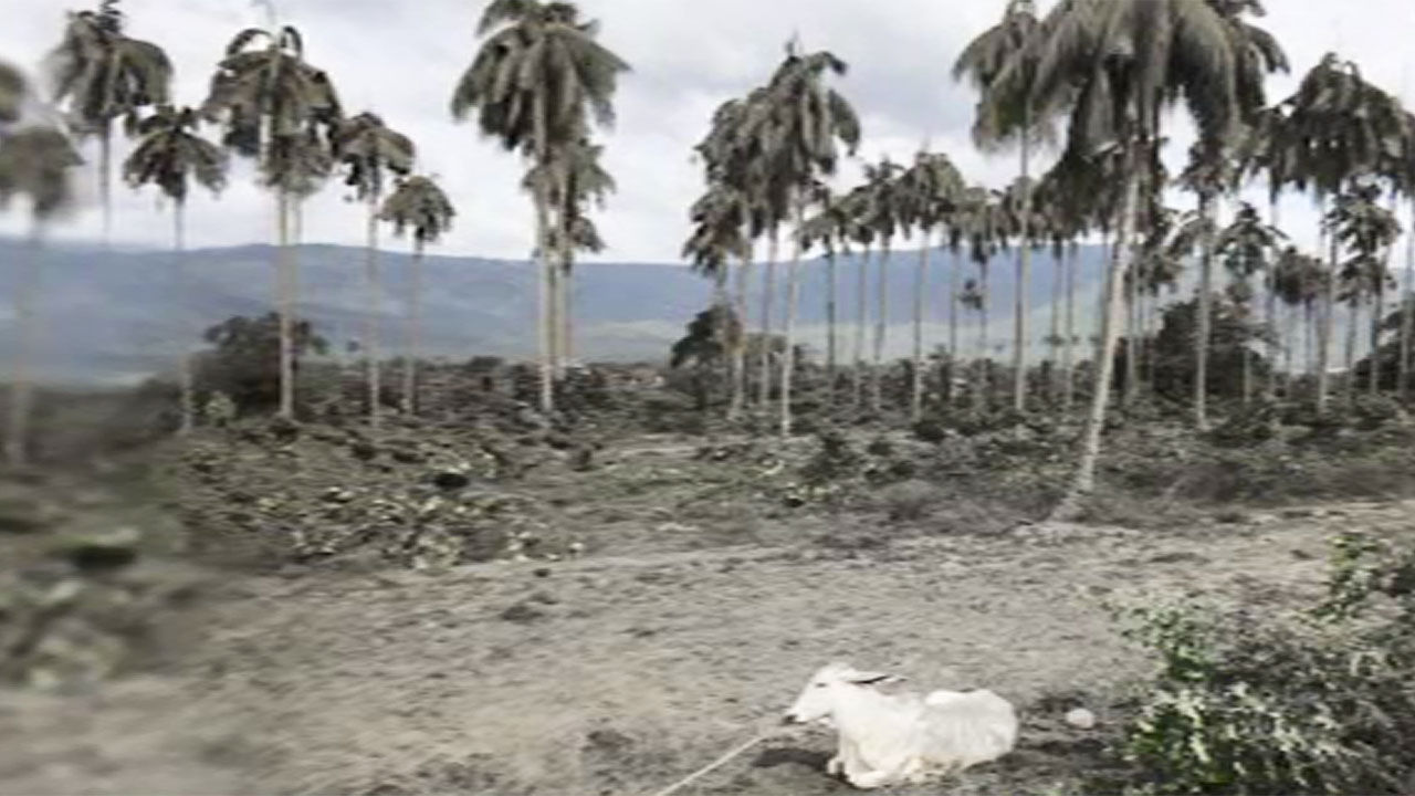 필리핀 화산 폭발