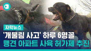 '개물림 사고' 하루 6명꼴&hellip;맹견 아파트 사육 허가제 추진
