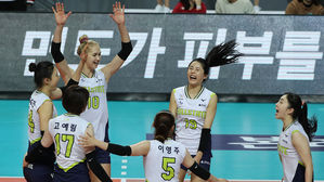 여자배구 현대건설, 난적 GS칼텍스 꺾고 6연승 휘파람