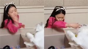 [Pick] 아역배우 구사랑, 방탄소년단 지민이 준 선물 소개 중 '반려묘 학대' 논란