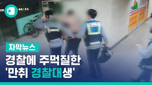 "내게 무릎 꿇을 것들이" 경찰에 주먹질한 '만취 경찰대생'