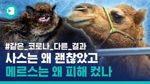 사망 0명 사스, 사망 39명 메르스&hellip;같은 '코로나바이러스'였는데 결말이 달랐던 이유는?