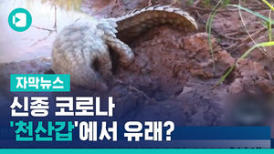 中 연구진 "99% 일치"&hellip;신종 코로나, '천산갑'에서 유래?