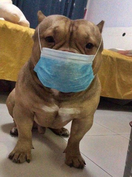 코로나19 감염 막으려는 주인들의 노력