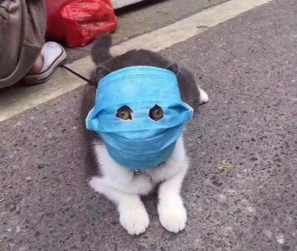 코로나19 감염 막으려는 주인들의 노력