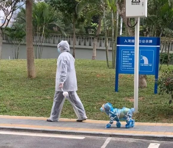 코로나19 감염 막으려는 주인들의 노력