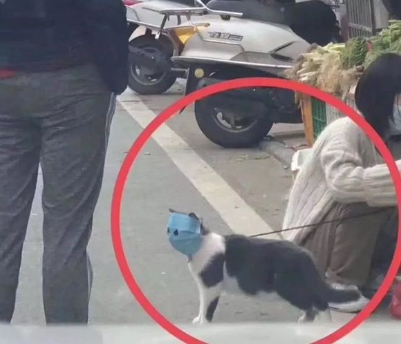 코로나19 감염 막으려는 주인들의 노력