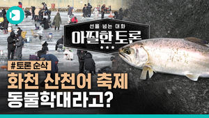 화천 산천어 축제, "동물학대" vs "학대 아니다"
