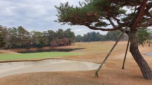 [취재파일] 여자골프 2연패 신화는 이곳에서