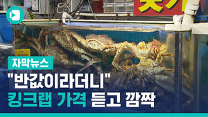 "반값이라더니" 킹크랩 가격 듣고 깜짝&hellip;허탕 친 소비자들