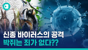 [비머X뉴스토리] 신종 바이러스의 공격 - 박쥐는 죄가 없다??