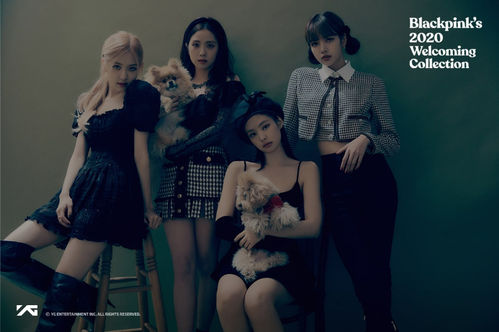 SBS Star] BLACKPINK to Release '2020 Welcoming Collection' Next Month