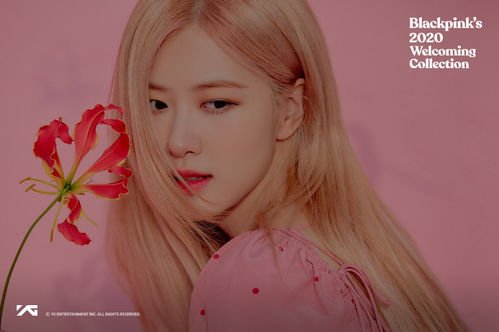 SBS Star] BLACKPINK to Release '2020 Welcoming Collection' Next Month