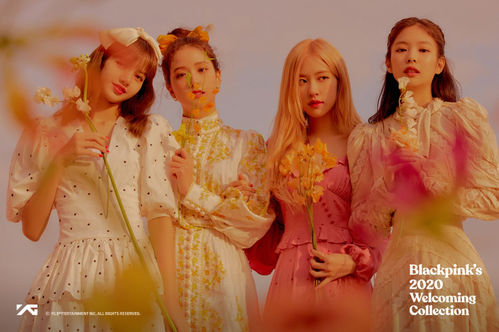 K-POP・アジア Blackpink 2020 Welcoming Collection BLACKPINK 2020 Welcoming Collection All Member Autographed Signed