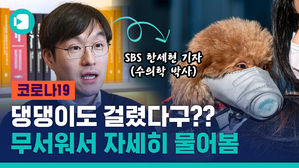 반려견 코로나19 감염 확인&hellip;우리 댕댕이는? 수의사 기자에게 물어봤습니다