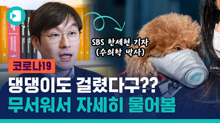 반려견 코로나19 감염 확인&hellip;우리 댕댕이는? 수의사 기자에게 물어봤습니다