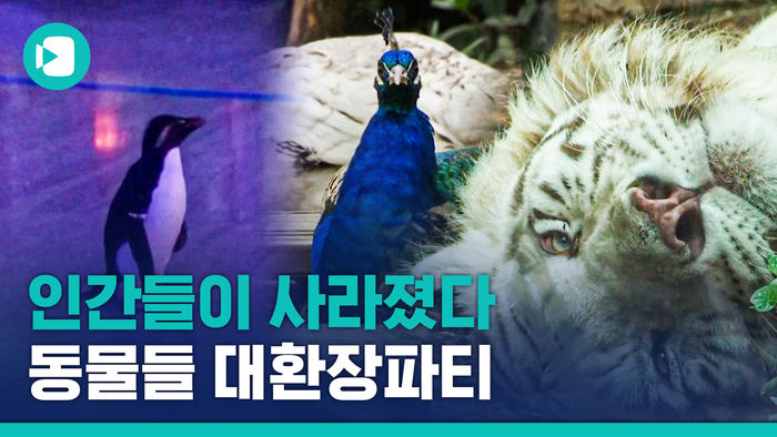 코로나로 문닫은 동물원&hellip;그 안에선 무슨 일이?